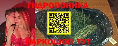 крисы Тула