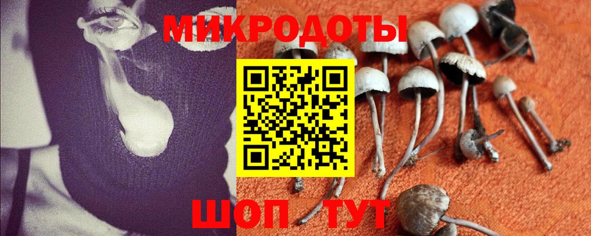 Галлюциногенные грибы прущие грибы Белгород